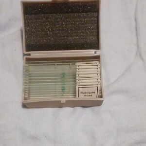 BAMBOO Tan Antique Microscope Slide Storage Box